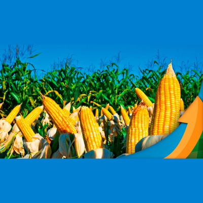 Notícias Agrícolas - Podcasts