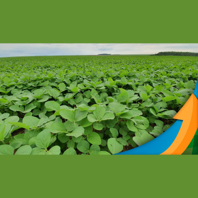 Notícias Agrícolas - Podcasts