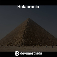 DNE 241 - Holacracia