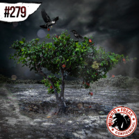 Aconteceu Comigo 24 | MFC 279