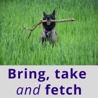 Bring, Take  Fetch Explained: Common Mistakes and Everyday English Expressions - AIRC632