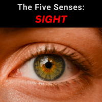 The Five Senses: Sight - AIRC562