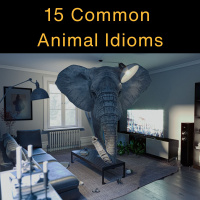 How to Use Animal Idioms in English: Learn how to use 15 Common Animal Expressions - AIRC522