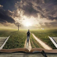 Decidi!Vou Intensamente A Esse Encontro