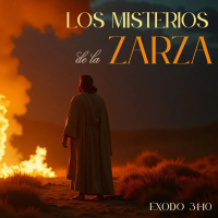 Los misterios de la zarza.mp3