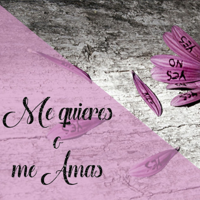 Iglesia Evangélica Bautista De Cádiz