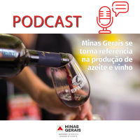 Conteúdo com apoio: MG é referência na produção de azeite e vinho