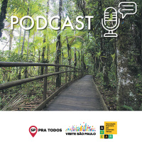 Conteúdo patrocinado: A transição do turismo para o novo