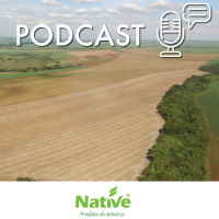 Conteúdo patrocinado: Native ganha certificado com agricultura regenerativa