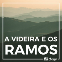 A Videira e os Ramos