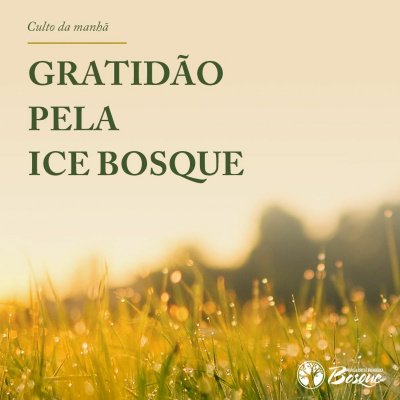 Podcast Ice Bosque