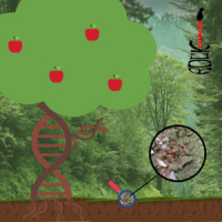 Evolução das plantas (S12E16)