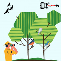 Observação de Aves (S12E02)