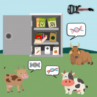 Recursos Genéticos (S13E20)