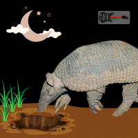 Tatu-Canastra (S13E18)