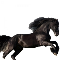 Episodio 15 - Personajes II - La Burbuja de Fantasía y El caballo desbocado