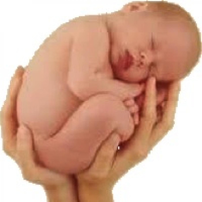 Podcast Sobre Biografia Humana