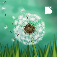 Teologia das emoções – BTCast 350