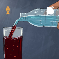 Milagres e as Leis da Natureza – BTCast ABC2 067