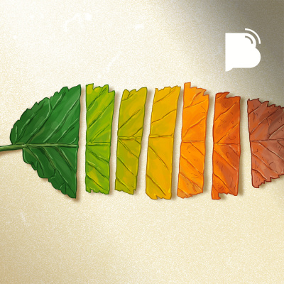 Bibotalk - Todos Os Podcasts