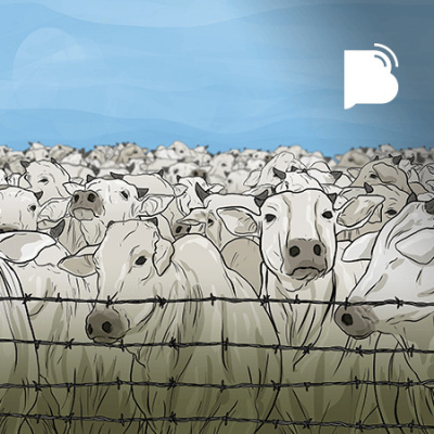 Bibotalk - Todos Os Podcasts