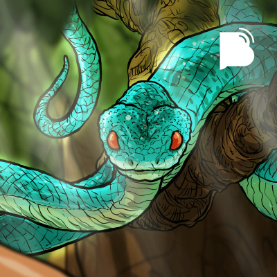 Bibotalk - Todos Os Podcasts