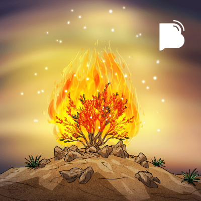 Bibotalk - Todos Os Podcasts