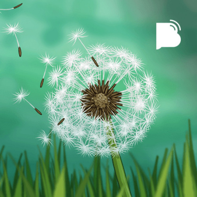 Bibotalk - Todos Os Podcasts