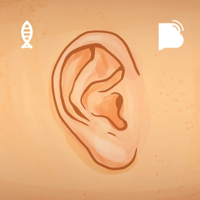 Bibotalk - Todos Os Podcasts