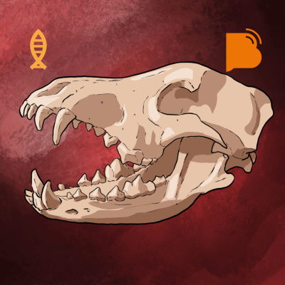 Bibotalk - Todos Os Podcasts