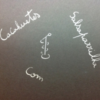 Cacahuetes Com SalsaParrilha- O Zé Explica Alegadamente As Eleições Americana