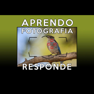 Aprendo Fotografia