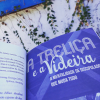 A treliça e a videira