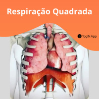 Chaturanga Pranayama - Respiração Quadrada