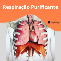 Respiração Purificante - Kapalbhati