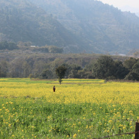 Relaxamento E Mentalização