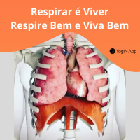 Respiração Energizante - Bhastrika