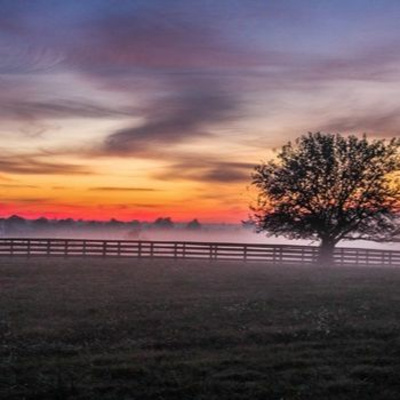 Yogin App - Yoga Online Interativo