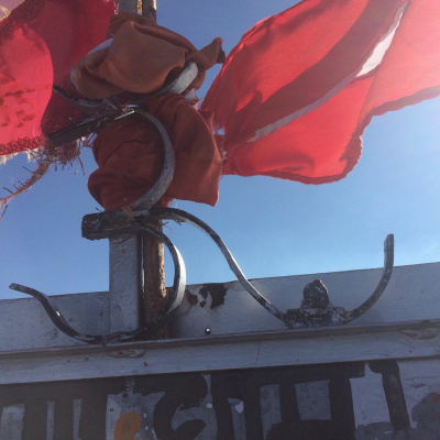 Yogin App - Yoga Online Interativo