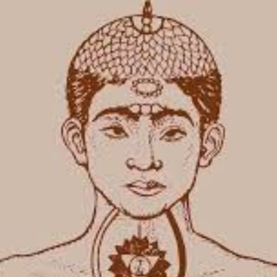 Yogin App - Yoga Online Interativo