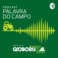 Palavra do Campo: Agro Horizonte debate o futuro do agronegócio e parcerias entre Brasil e EUA
