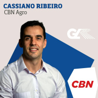 Chegada do El Niño gera temor no mercado de cacau