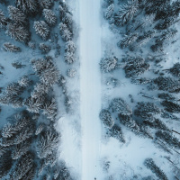 Princípio da Renovação [Princípios #88]