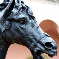 Episódio 77 tirar o cavalinho da chuva