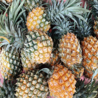 Episódio 159 descascar abacaxi