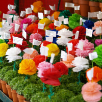 Episódio 101 santos da casa não fazem milagres