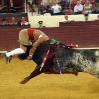 Episódio 26 agarrar o touro pelos cornos