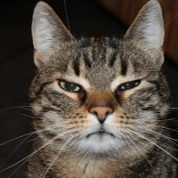 Episódio 22 não sei nem quero saber