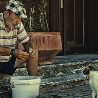 Episódio 114 um olho no peixe