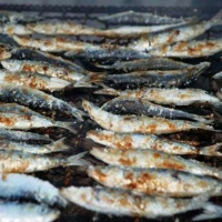Episódio 50 puxar a brasa à sua sardinha